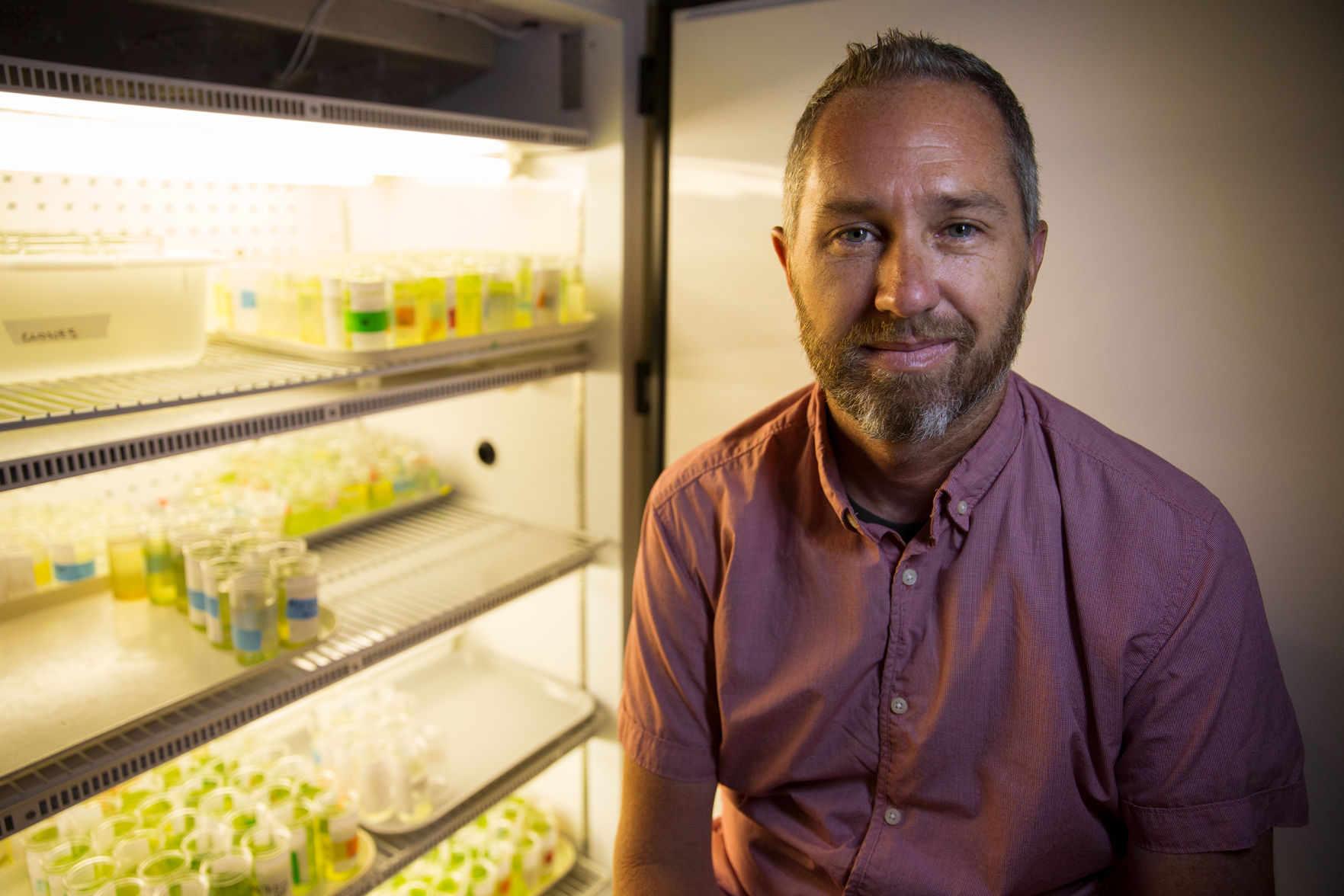 UTA associate professor receives national award for work on evolution in natural systems